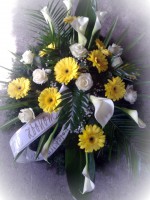 /album/vence-/nokia-4-2011-032-jpg1/